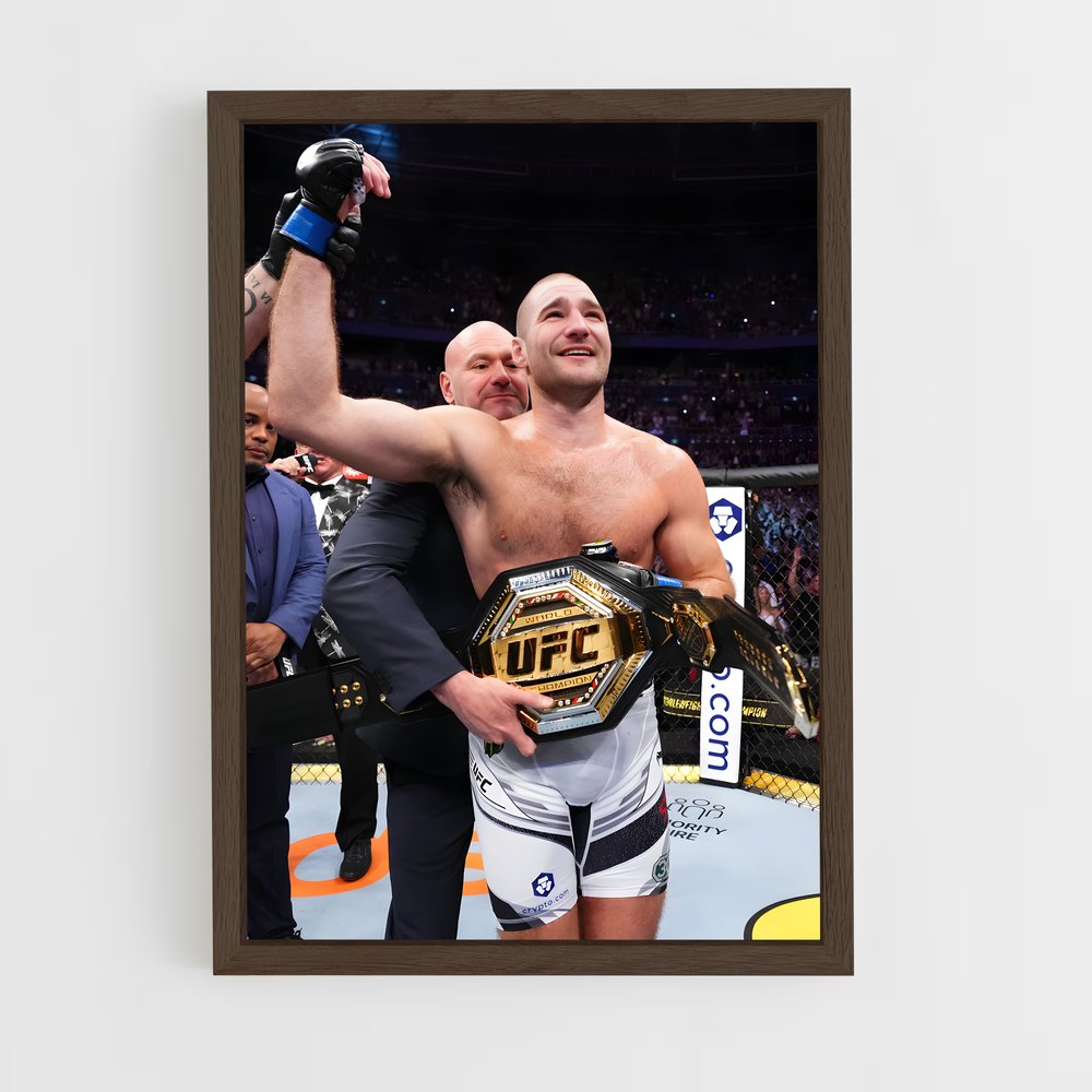 Poster Champion Déterminé – affiche MMA (vue 5)